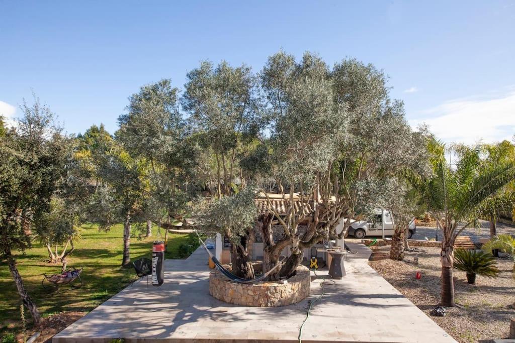 Casa Petit Paraiso Lagoa  Luaran gambar